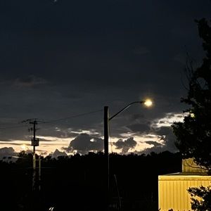 Meet your Posher, Leona